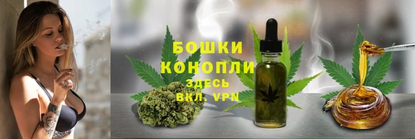 прущие грибы Новокубанск