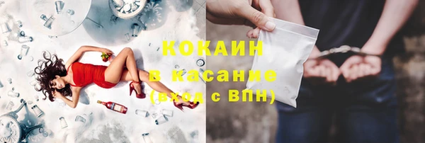 прущие грибы Новокубанск