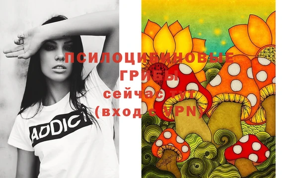 прущие грибы Новокубанск