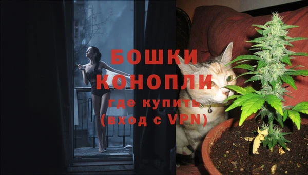 прущие грибы Новокубанск