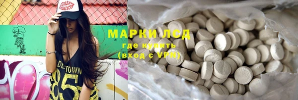 прущие грибы Новокубанск
